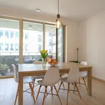  appartement avec 1 chambre(s) en location à Antwerpen