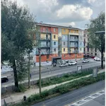 Affitto 3 camera appartamento di 85 m² in Torino