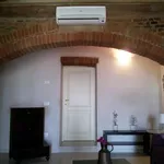 Rent 1 bedroom apartment of 40 m² in Peccioli