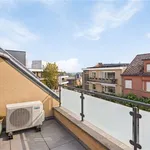 Rent 1 bedroom apartment in SCHERPENHEUVEL