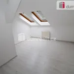 Rent 4 bedroom apartment in Dalovice