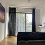 Rent 2 bedroom apartment of 75 m² in Krakow