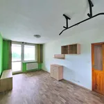 Rent 2 bedroom apartment of 46 m² in Praha