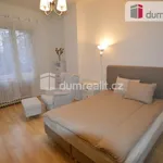 Rent 1 bedroom apartment in Capital City of Prague