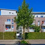 Rent 2 bedroom apartment of 60 m² in Münster