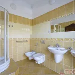 Rent 5 bedroom house of 338 m² in Prague