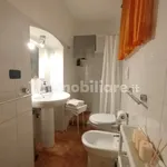 Rent 2 bedroom apartment of 55 m² in Bari