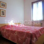 Rent 3 bedroom apartment of 60 m² in Massa