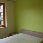 Rent 2 bedroom apartment of 41 m² in SZCZECIN 