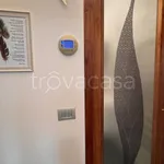 Rent 3 bedroom apartment of 75 m² in Orbetello