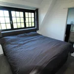 Rent 1 bedroom apartment in Waregem