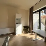 Rent 1 bedroom apartment in Leuven