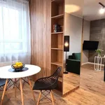 Rent 1 bedroom apartment of 26 m² in Poznan