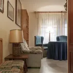 Rent 1 bedroom apartment in Granada