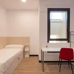 Alquilar 1 dormitorio apartamento en zaragoza