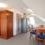 Rent 2 bedroom apartment of 58 m² in Jindřichův Hradec