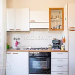 Rent 2 bedroom apartment of 60 m² in pisa