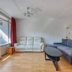 Roomolenstraat, Leidschendam - Amsterdam Apartments for Rent