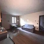 Rent 1 bedroom apartment of 40 m² in Novara