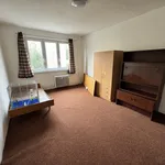 Rent 2 bedroom apartment in Chomutov