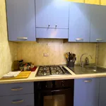 Rent 2 bedroom apartment of 53 m² in Padova