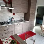 Rent 2 bedroom apartment of 40 m² in Roma