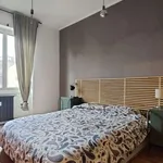 Rent 1 bedroom apartment in milan