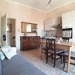 Rent 3 bedroom apartment of 80 m² in Catania