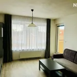 Rent 2 bedroom apartment of 58 m² in České Budějovice