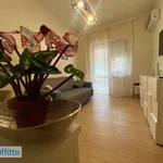 Appartamento arredato con terrazzo Centro