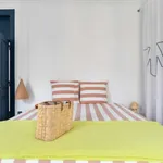 Rent a room in lisbon