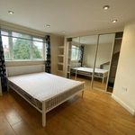 Rent a room in East Midlands