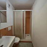 Rent 1 bedroom apartment in Pilsen