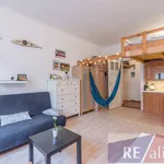 Rent 1 bedroom apartment of 30 m² in Praha 5