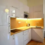 Rent 2 bedroom apartment of 54 m² in Brno