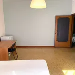 Rent 6 bedroom apartment in Rome