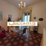 Rent 2 bedroom apartment of 65 m² in Milano