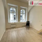 Rent 1 bedroom apartment in Prague