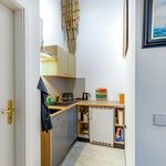 Rent 1 bedroom apartment of 38 m² in Dresden