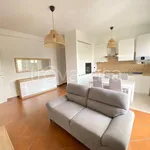 Rent 3 bedroom apartment of 75 m² in Milano