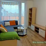 Rent 1 bedroom apartment in Praha 10