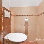 Rent 3 bedroom apartment in Brno