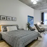  appartement avec 1 chambre(s) en location à Montreal