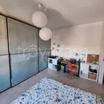 Rent 2 bedroom apartment of 50 m² in Milano