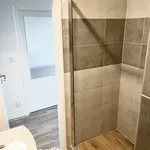 Rent 1 bedroom apartment in Opava