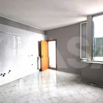 Affitto 1 camera appartamento di 35 m² in Casavatore