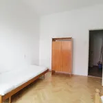 Rent a room of 57 m² in Brno