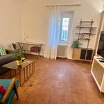 Rent 1 bedroom apartment in florence