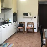 Rent 1 bedroom apartment of 20 m² in Torino