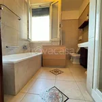 Rent 3 bedroom apartment of 90 m² in Bologna